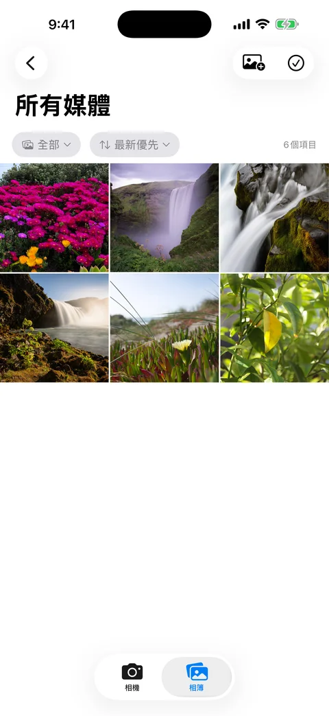 AtticAlbum 媒體網格，包含縮圖、搜尋列和篩選控制