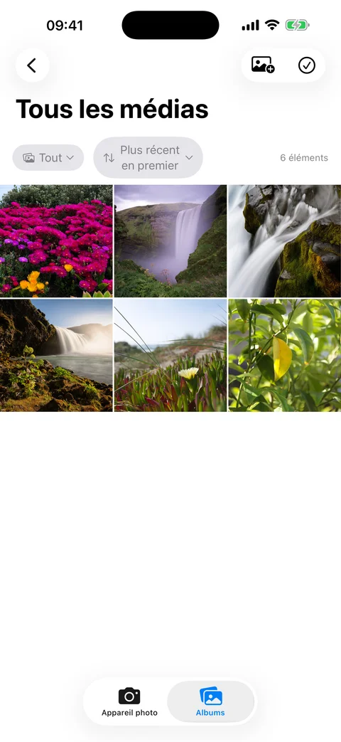 Grille de médias d'AtticAlbum avec miniatures, barre de recherche et commandes de filtre